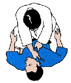 jiu_jitsu13.gif