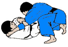 jiu_jitsu14.gif