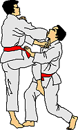 jiu_jitsu15.gif