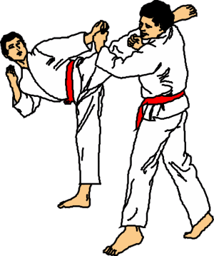 jiu_jitsu18.gif