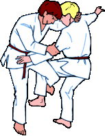 judo01.gif