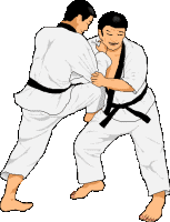 judo03.gif