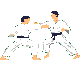 judo11.gif