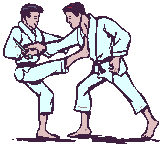 judo13.gif