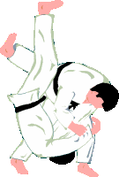 judo25.gif