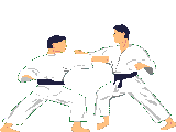 kampfsport005.gif