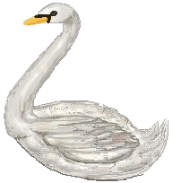 schwan13.gif