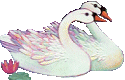 schwan19.gif