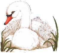 schwan5.gif