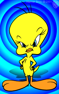 tweety1fgu.gif