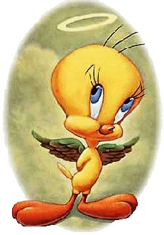 tweety2012.jpg