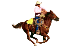 Cowboy_on_Horse.gif