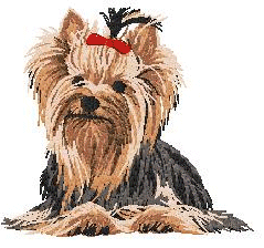 yorkie04.gif