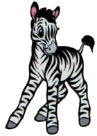 zebra03.gif